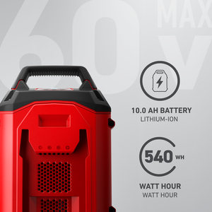 Toro 60V Max* Flex-Force 10.0 Ah Lithium-Ion Battery (66810)