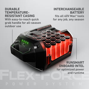 Toro 60V Max* Flex-Force 10.0 Ah Lithium-Ion Battery (66810)