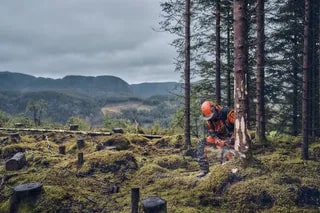 Husqvarna 540 XP® Mark III